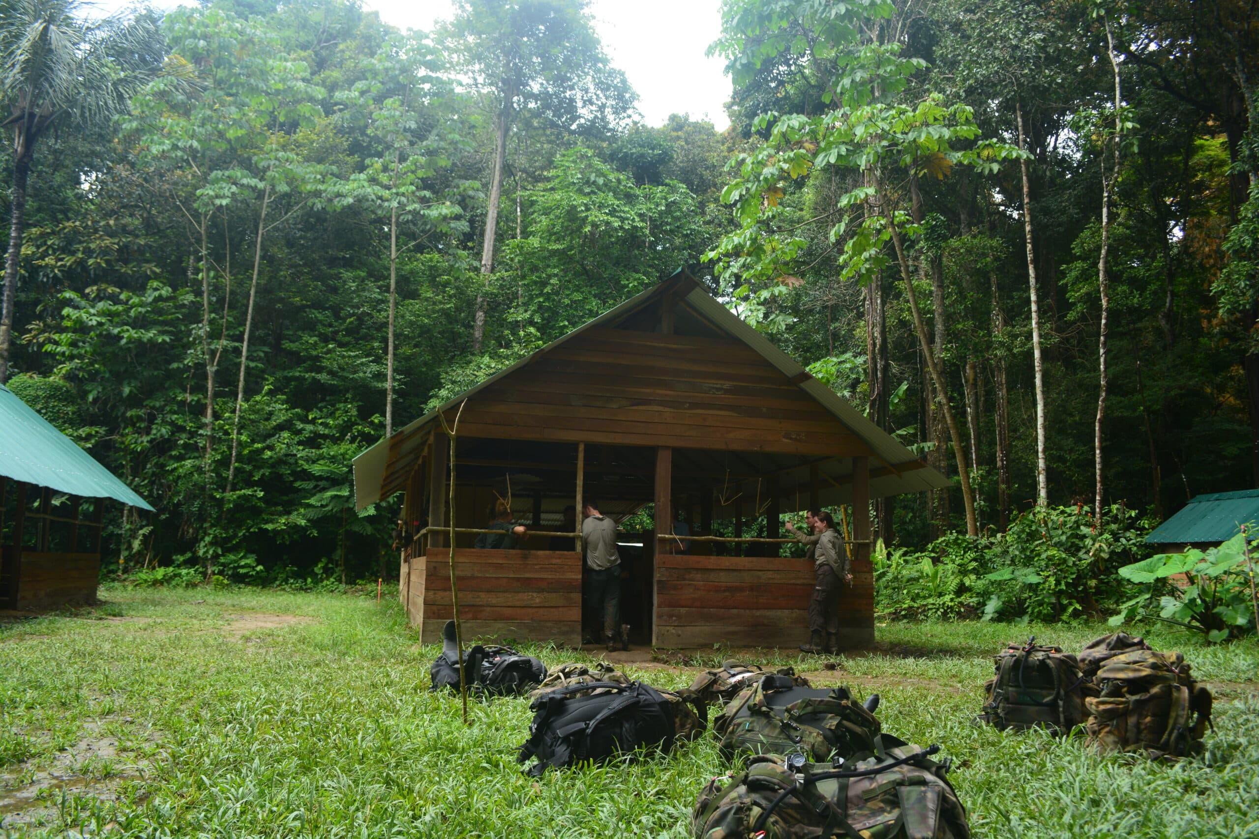 Jungle Survival Course | The Wildtales Inc.