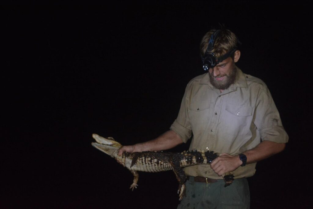 Catching small caiman in Guyana