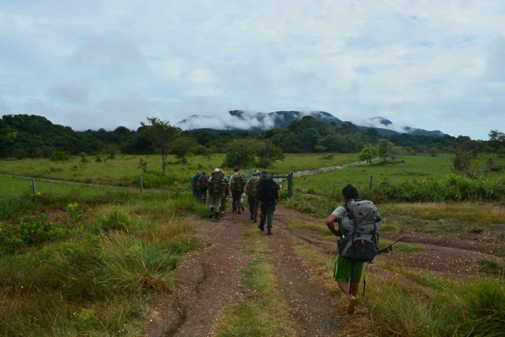 Walking in to the jungle in Guyana