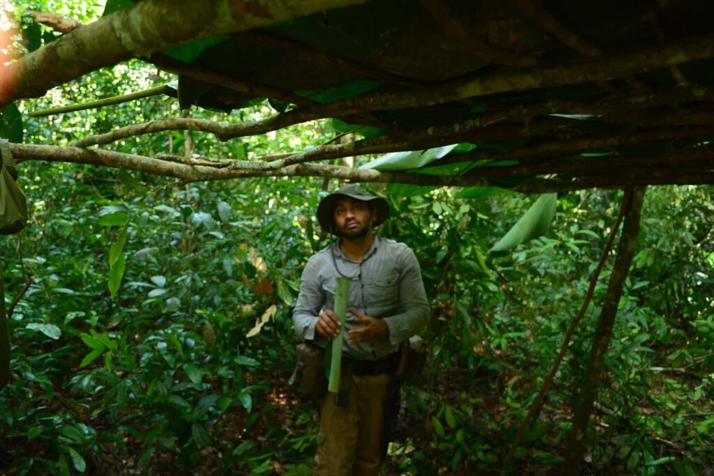 Jungle survival shelter in Guyana