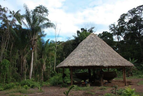 Indigenous benab in the rainforest of Guyana