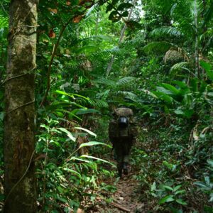 Jungle mountain adventure in guyana