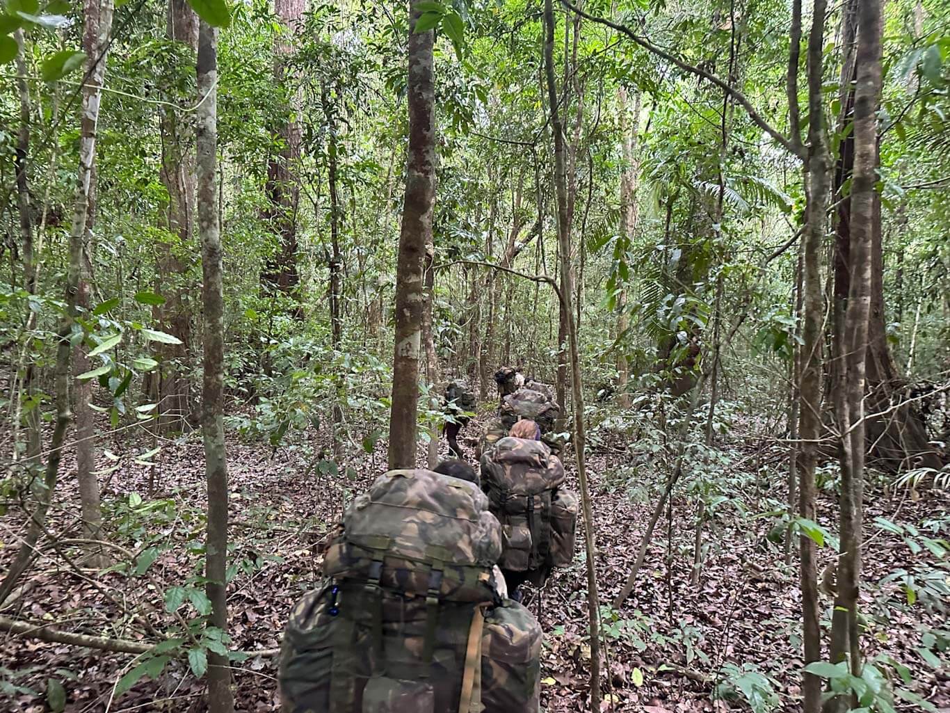 Trekking in Guyana: A Pristine Jungle Odyssey | The Wildtales Inc.