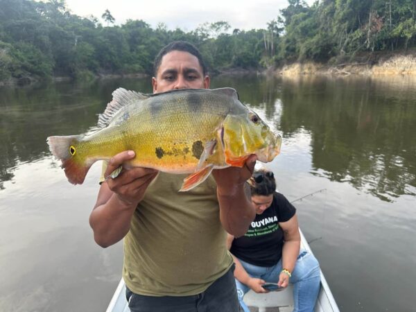 Fishing peacock bass in Guyana