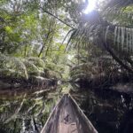 Sailing through the rainforest in Guyana on a remote canoe expedition