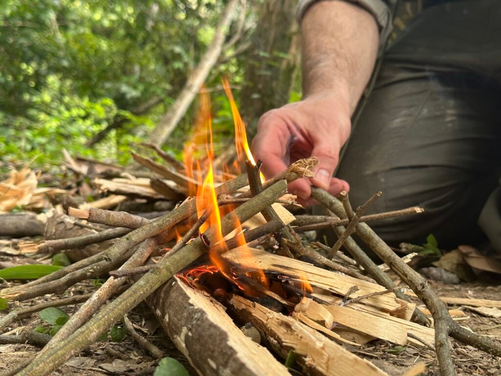Jungle Survival Experience