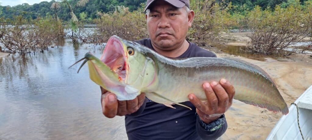 Rewa River Deluxe Fishing Expedition