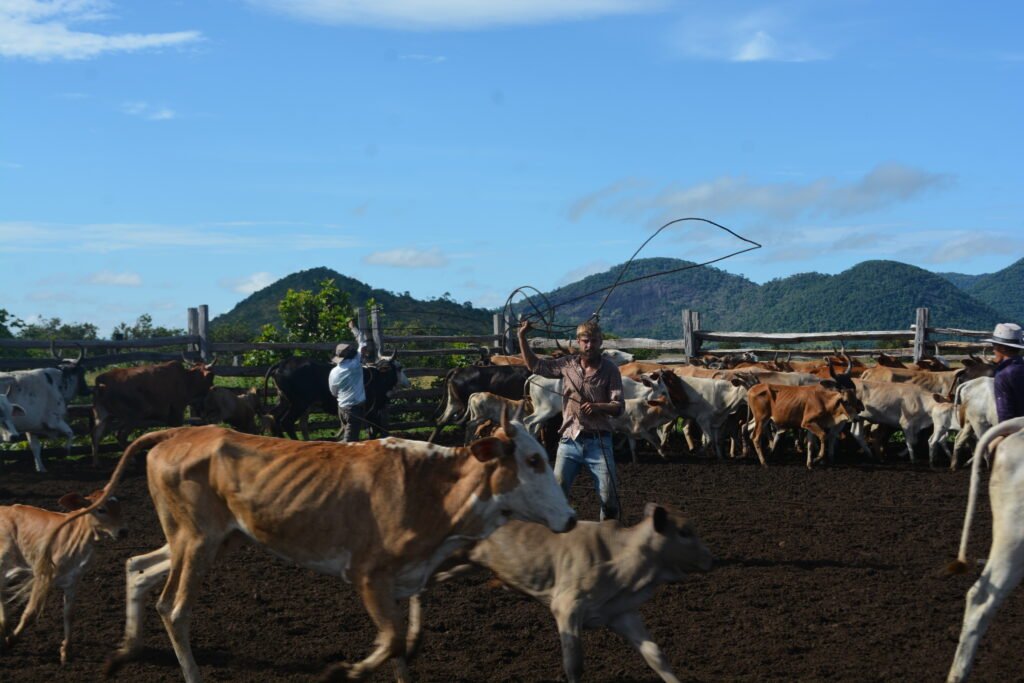 Saddle Mountain Ranch