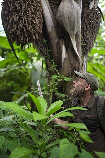 Anders Brinn, Jungle Survival Expert in Guyana